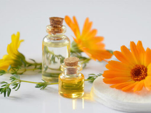 Cosméticos naturales online