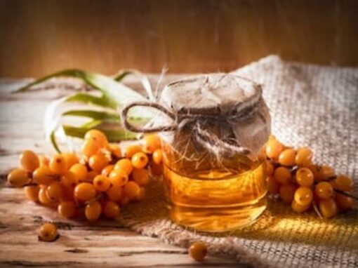 Aceite de espino amarillo