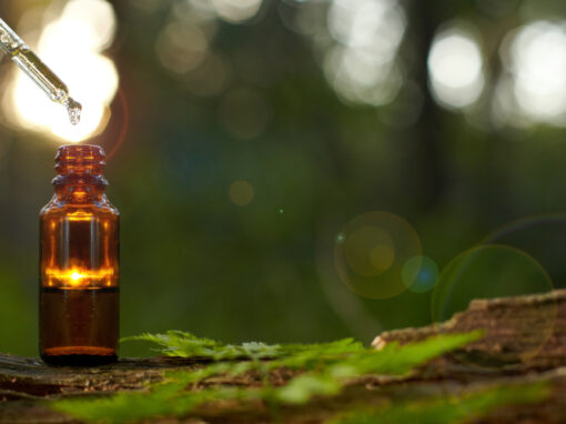 Aceite esencial de árbol de té